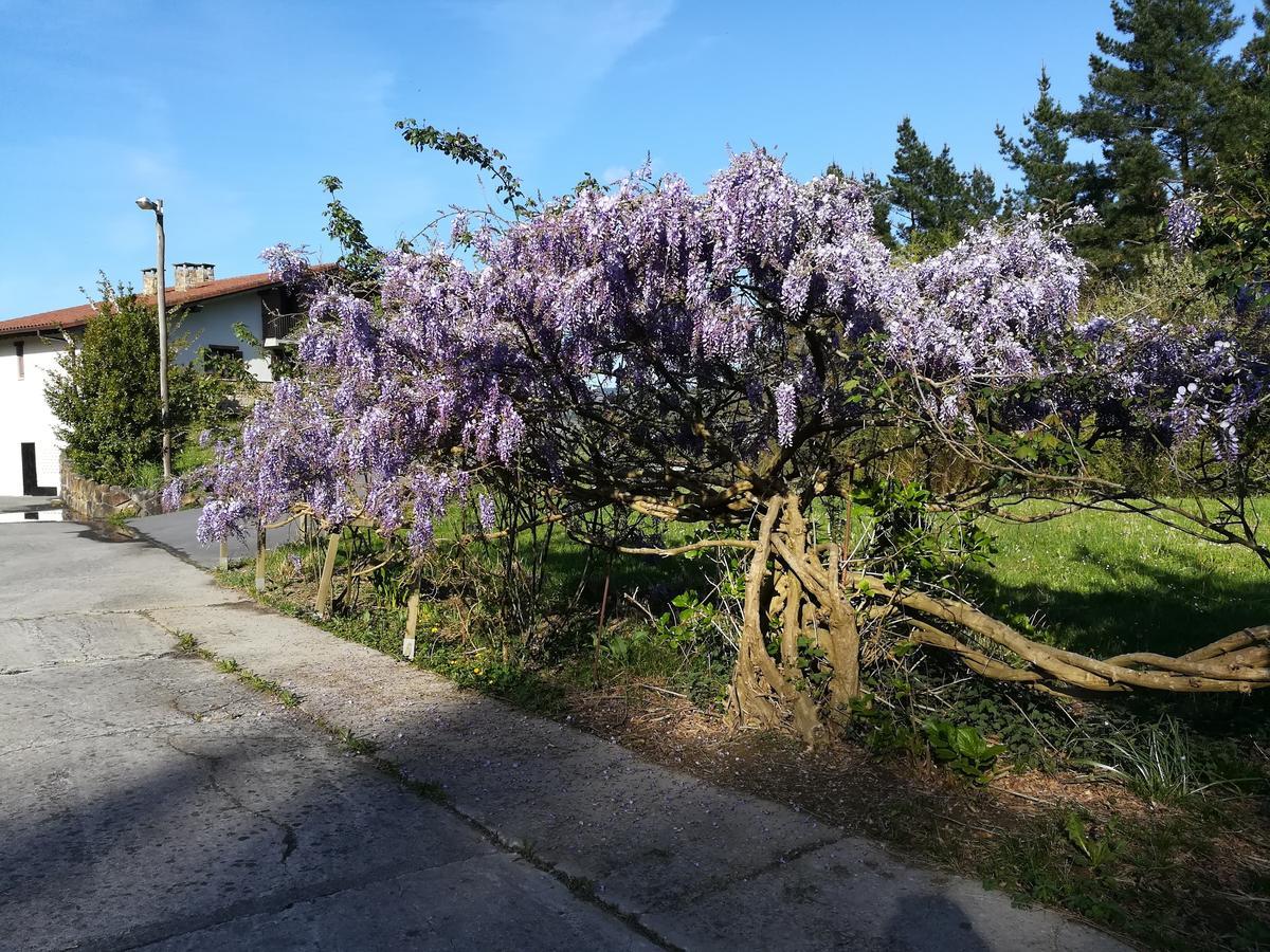 Casa Rural Miamendi Larrabetzu Esterno foto